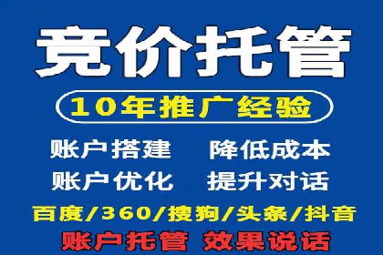SEM外包策略在电商平台的成功案例